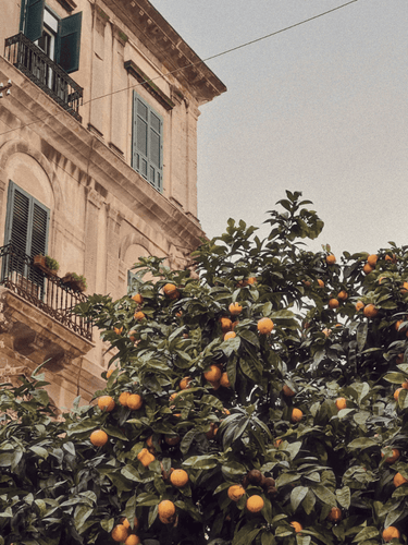 PALERMO'S CHAOTIC CHARM