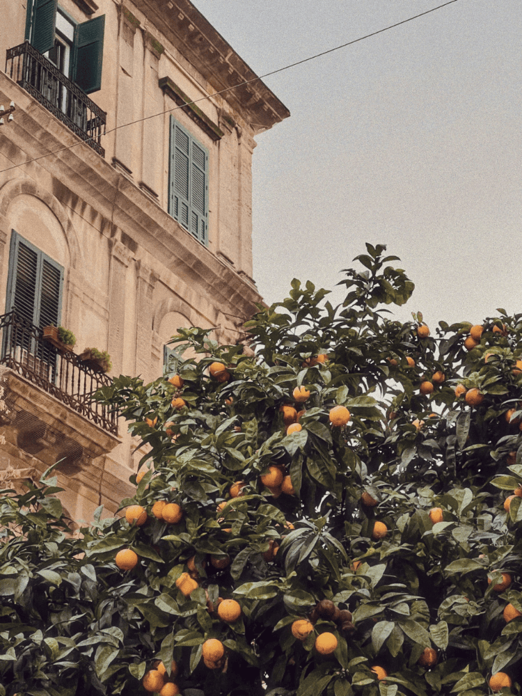 PALERMO'S CHAOTIC CHARM