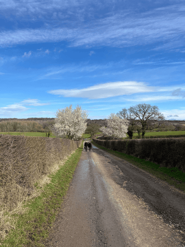 Discovering the Soul of the Cotswolds